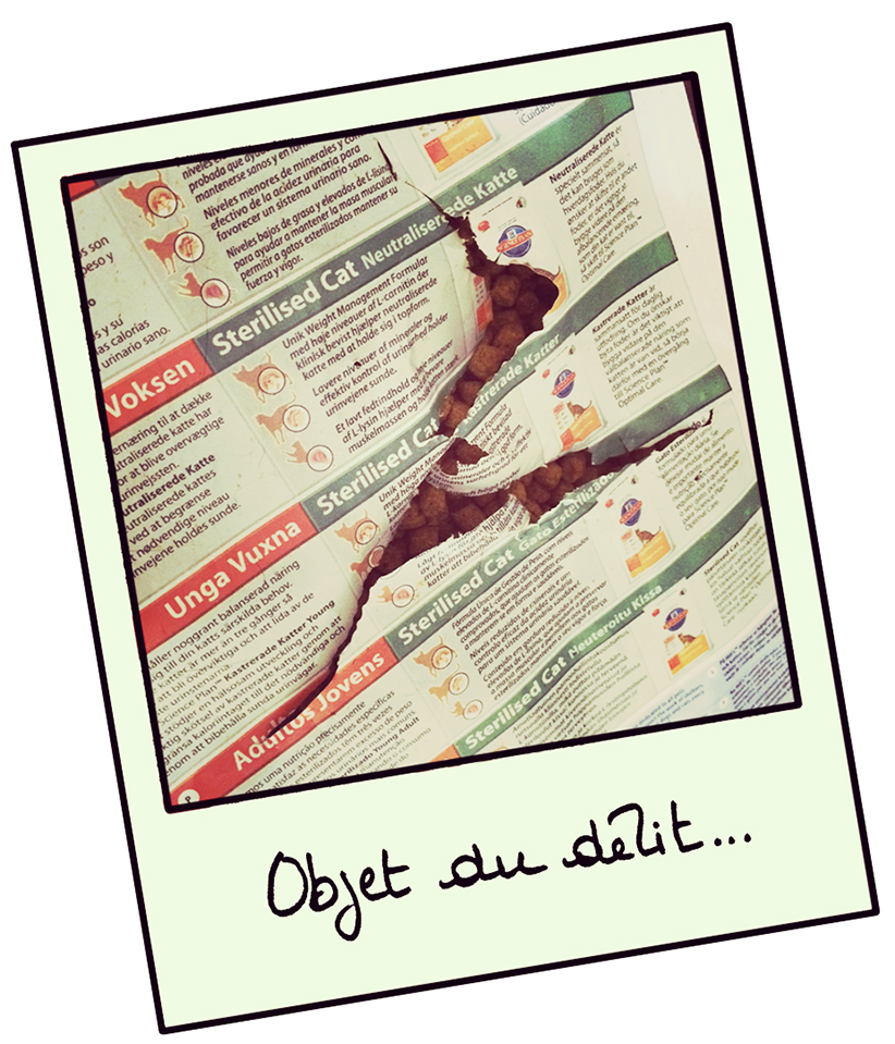 cass-du-siècle-croquette-chat