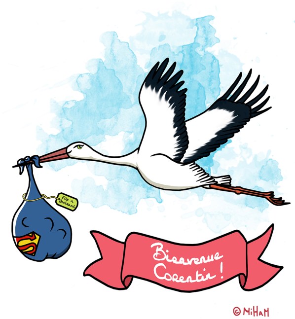 dessin-illustration-naissance-cigogne