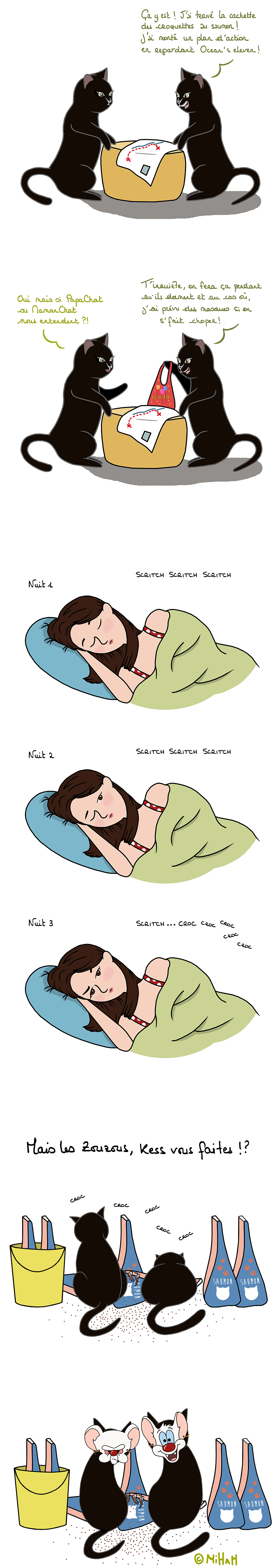 casse-du-siècle-croquette-chat