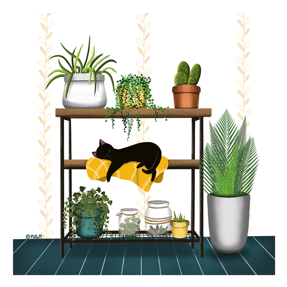 Cat and plants ©MiHaM